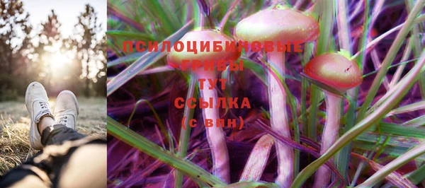 герыч Алзамай
